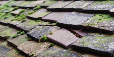 Woolley roof repair costs